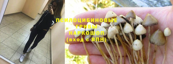 PSILOCYBIN Куйбышев