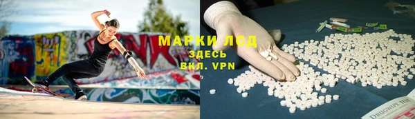 сатива Кулебаки