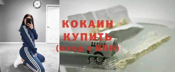 сатива Кулебаки
