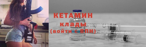 сатива Кулебаки