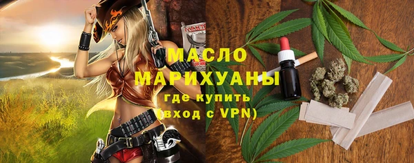 сатива Кулебаки