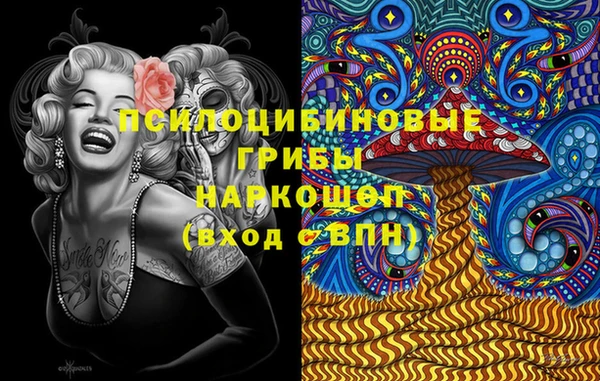 PSILOCYBIN Куйбышев