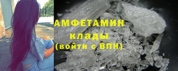 сатива Кулебаки