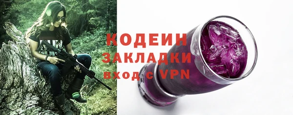 сатива Кулебаки