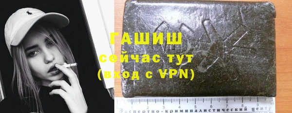 сатива Кулебаки