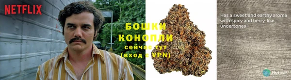 PSILOCYBIN Куйбышев